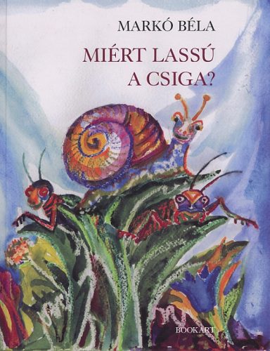 MIÉRT LASSÚ A CSIGA?