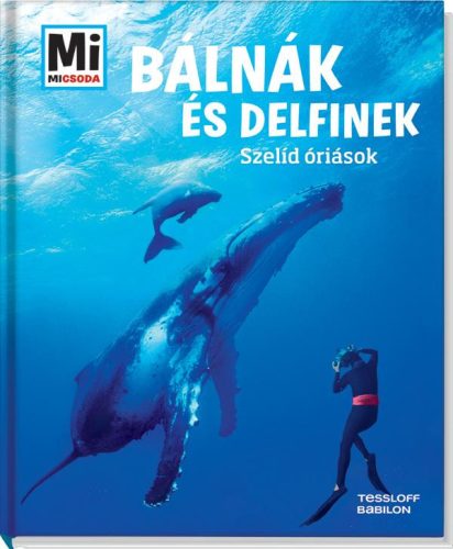 BÁLNÁK ÉS DELFINEK - SZELÍD ÓRIÁSOK - MI MICSODA