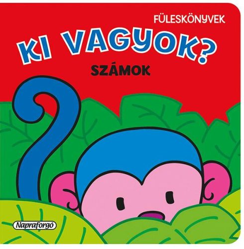 KI VAGYOK? - SZÁMOK