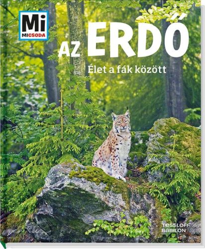 AZ ERDŐ - ÉLET A FÁK KÖZÖTT - MI MICSODA