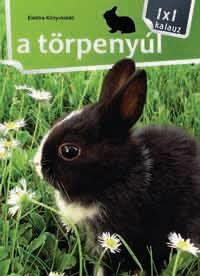 A TÖRPENYÚL - 1X1 KALAUZ