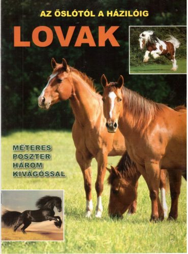 LOVAK - AZ ŐSLÓTÓL A HÁZILÓIG