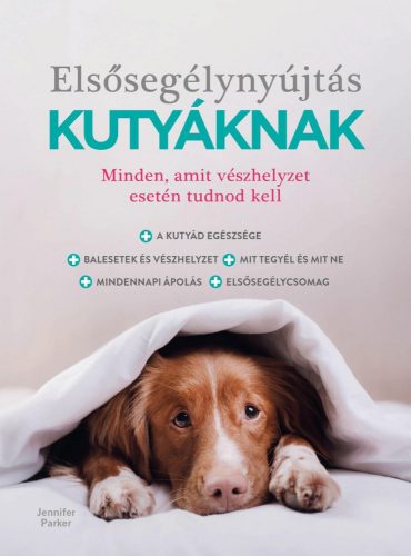 ELSŐSEGÉLYNYÚJTÁS KUTYÁKNAK