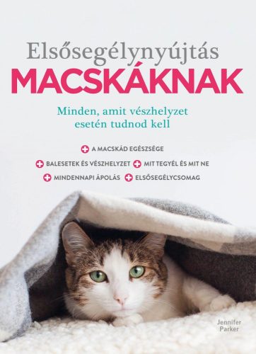 ELSŐSEGÉLYNYÚJTÁS MACSKÁKNAK