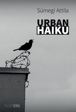 URBAN HAIKU