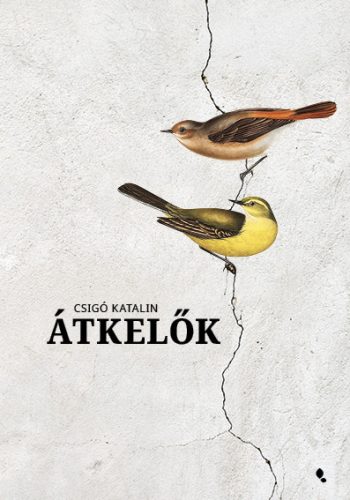 ÁTKELŐK - KÖTÖTT