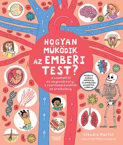 HOGYAN MŰKÖDIK AZ EMBERI TEST?