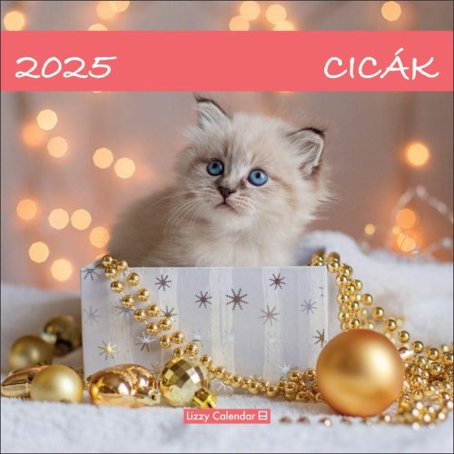 FALINAPTÁR LEMEZ NAGY CICÁK 2025