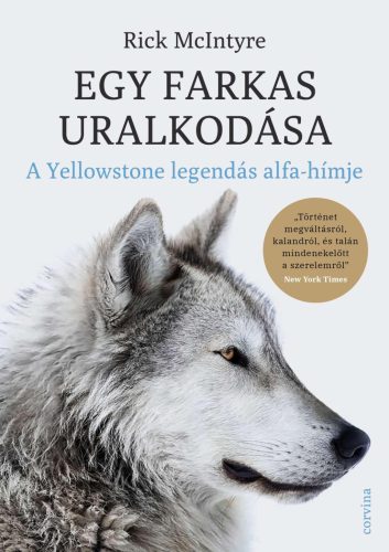 EGY FARKAS URALKODÁSA - A YELLOWSTONE LEGENDÁS ALFAHÍMJE