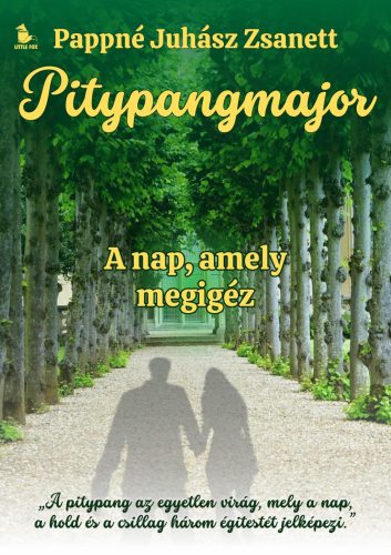 PITYPANGMAJOR - A NAP, AMELY MEGIGÉZ